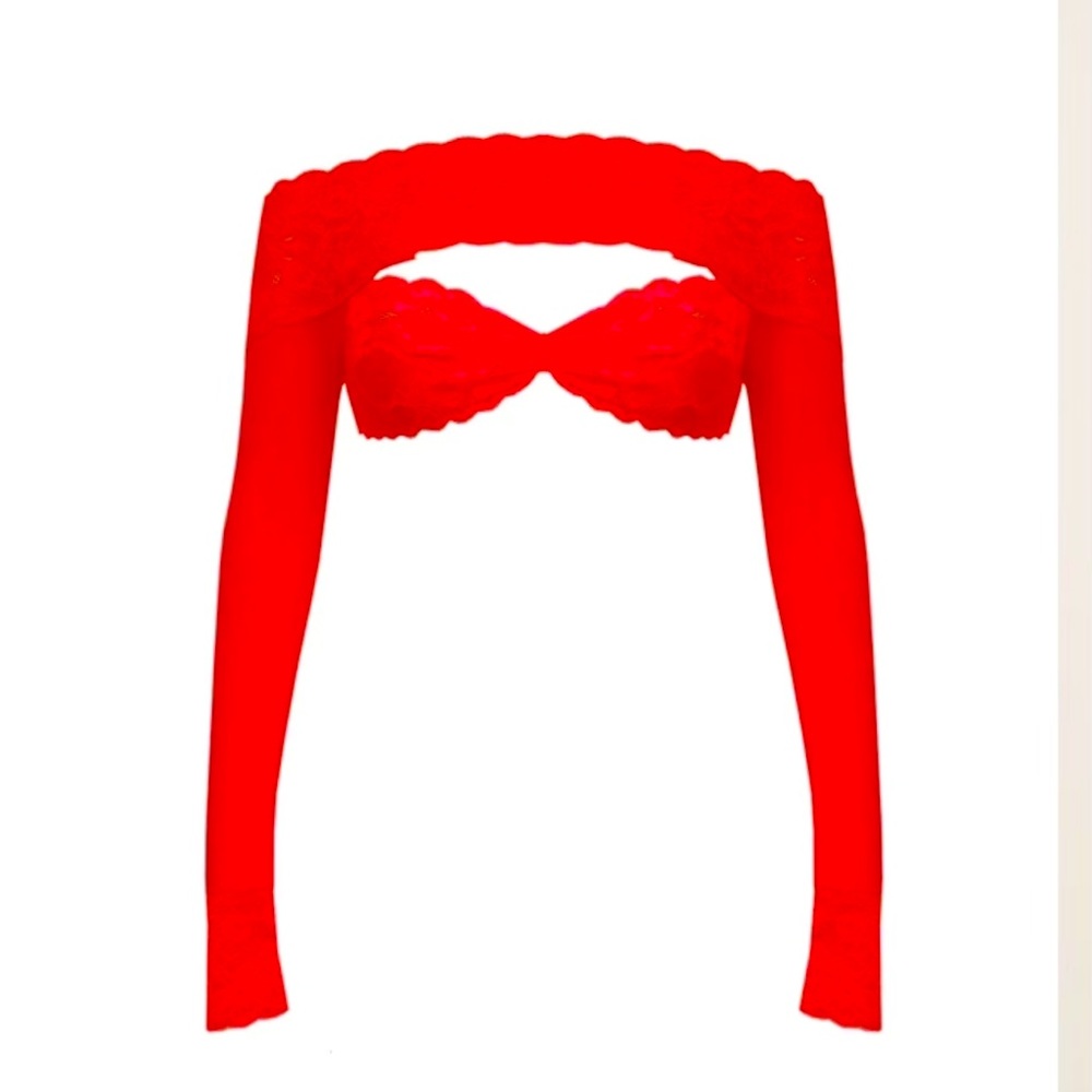 Davina Off-The-Shoulder Lace Sleeved Crop Top